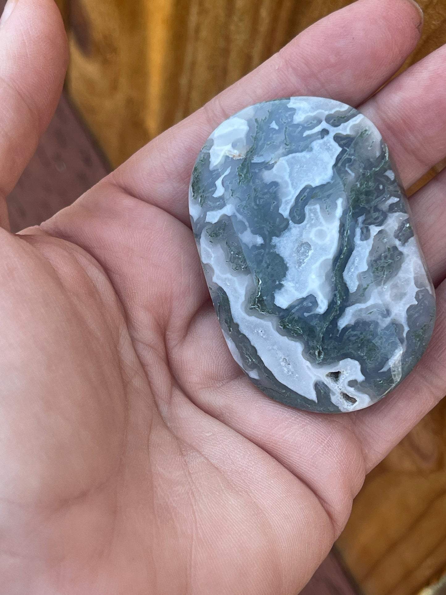 Moss Agate Palm Stone