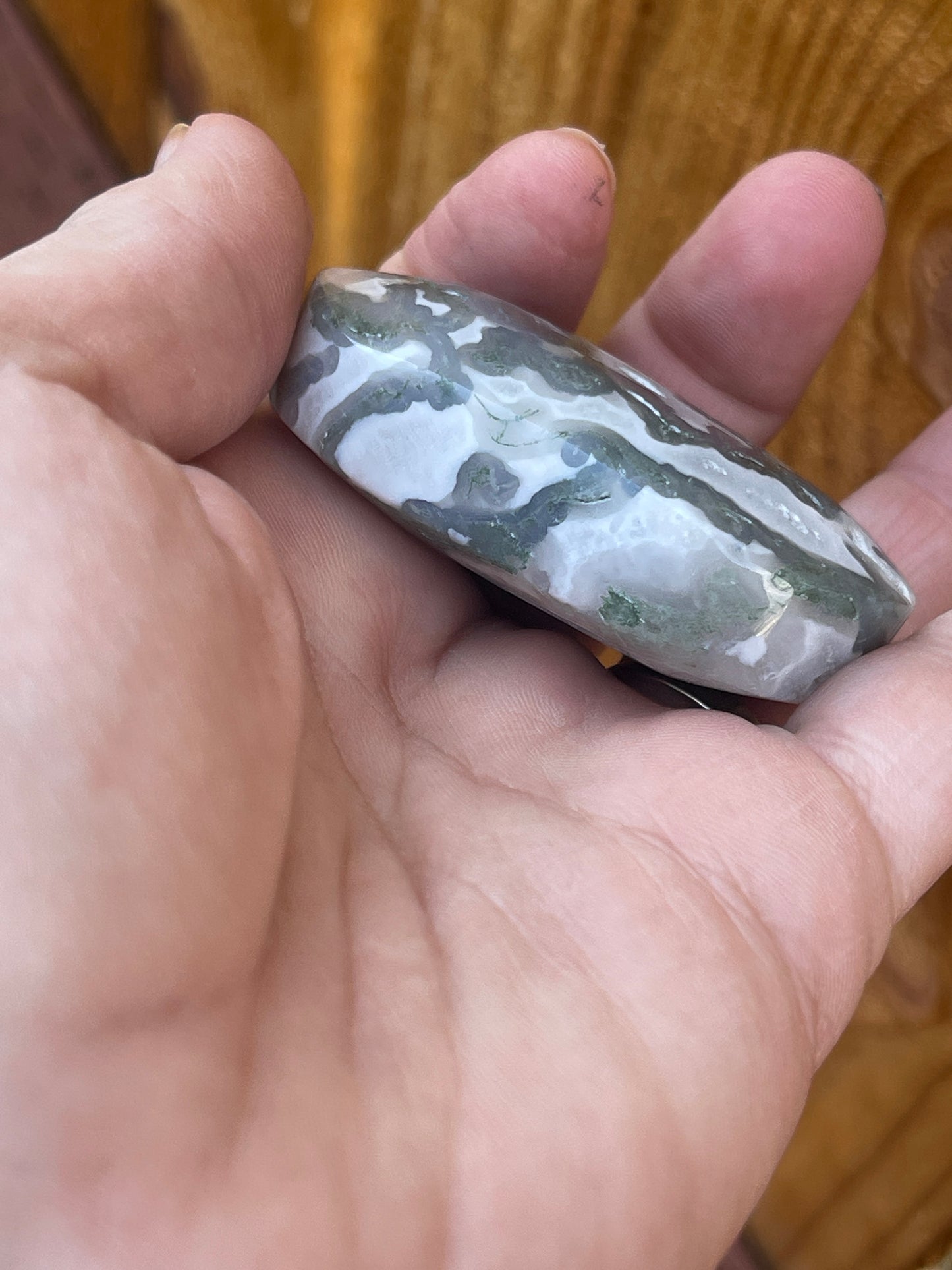 Moss Agate Palm Stone