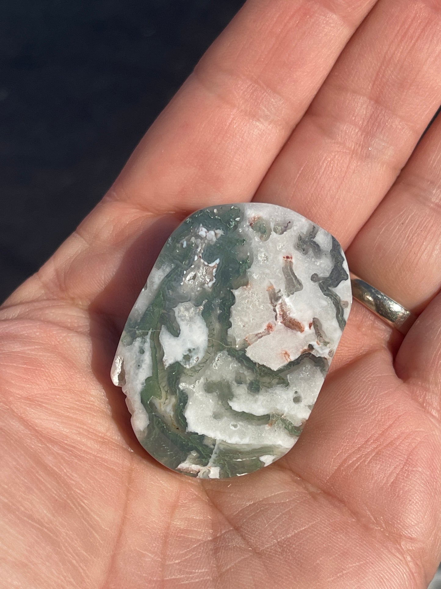 Moss Agate Palm Stone