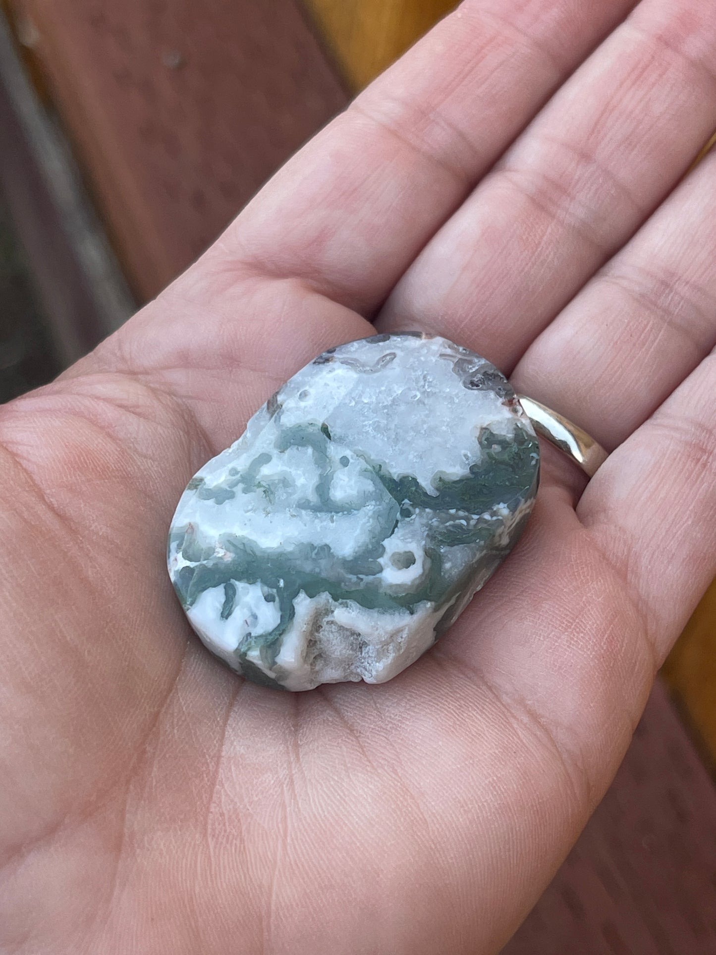 Moss Agate Palm Stone