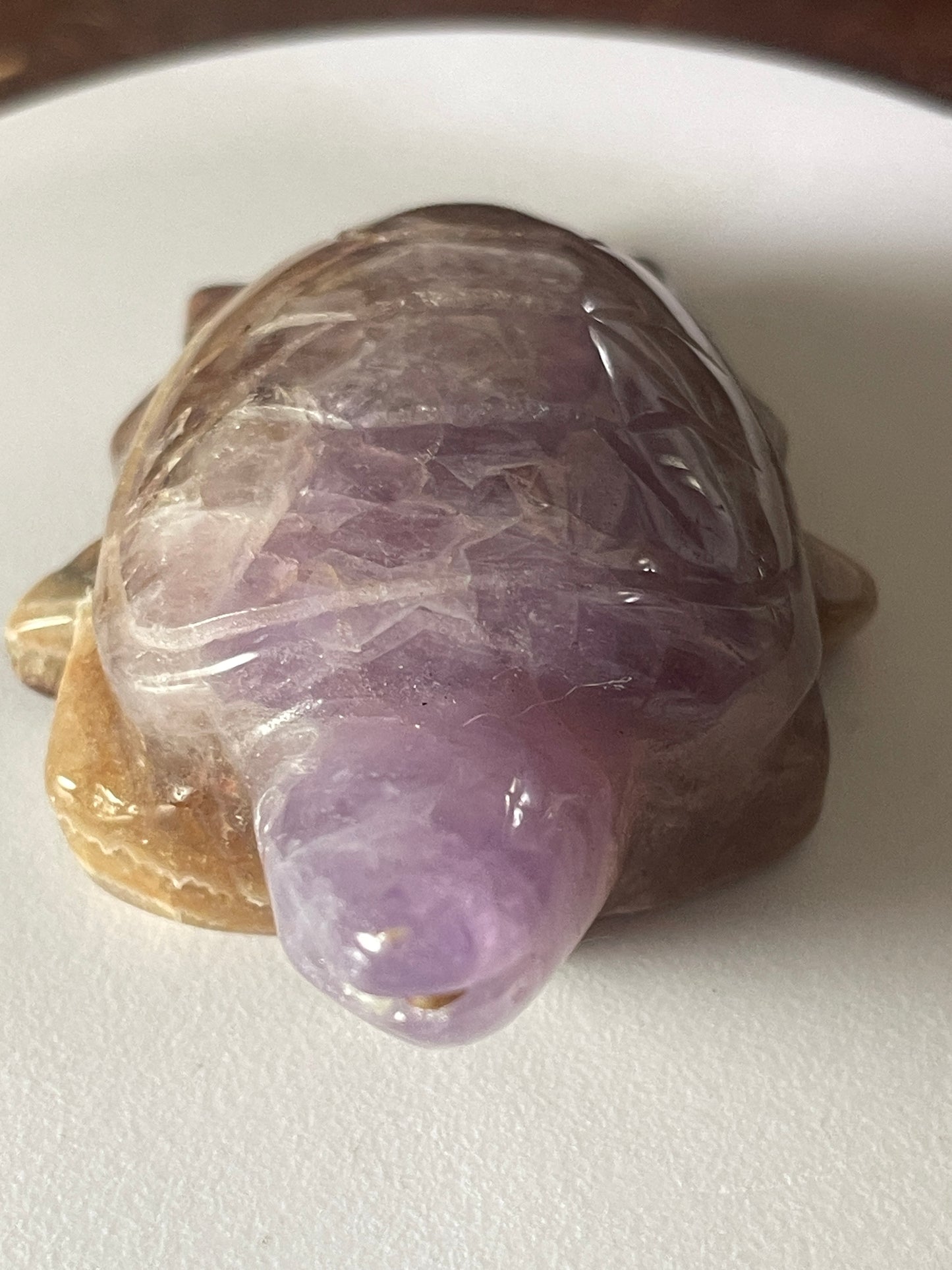 Amethyst Agate Turtle