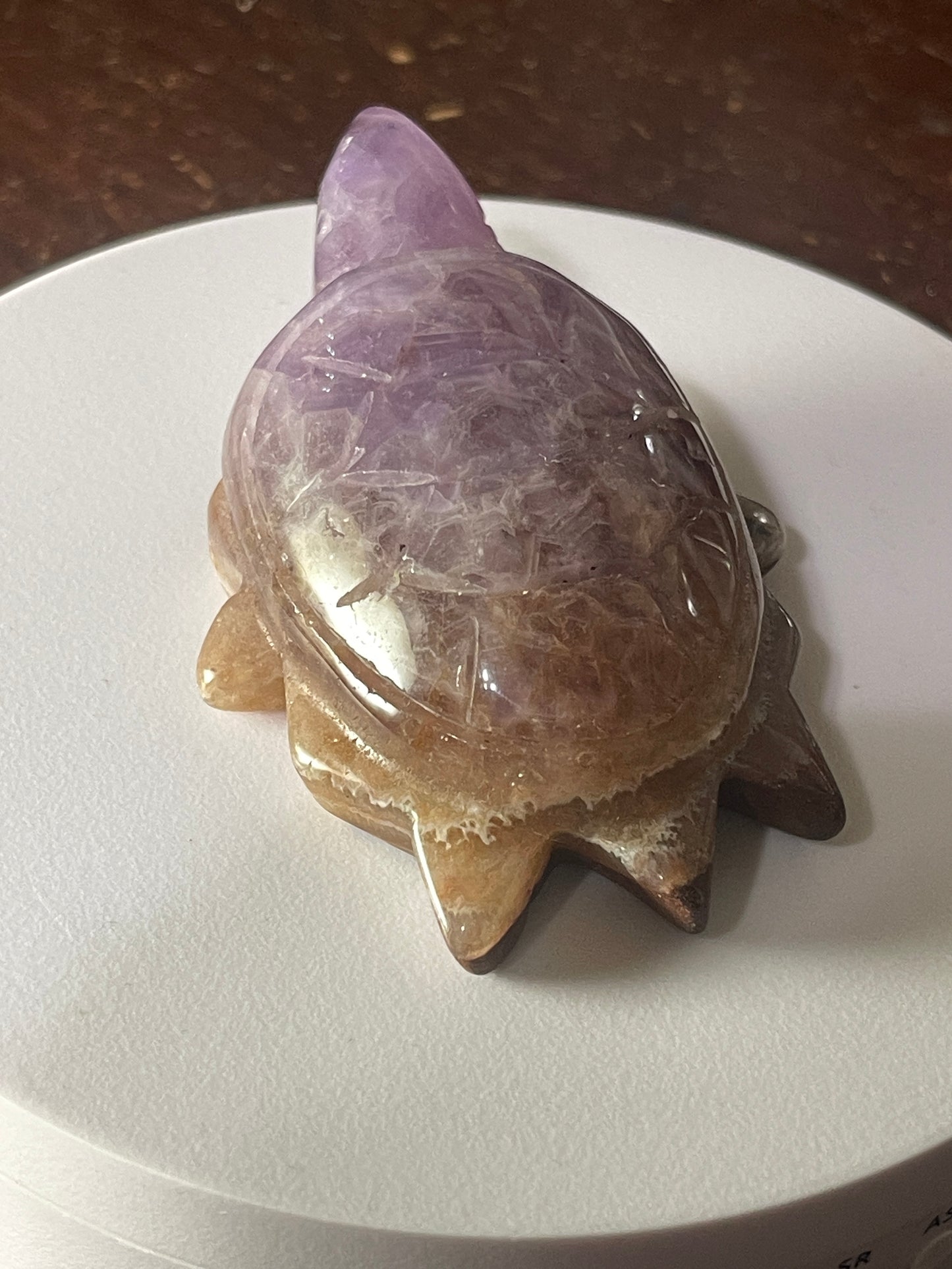 Amethyst Agate Turtle